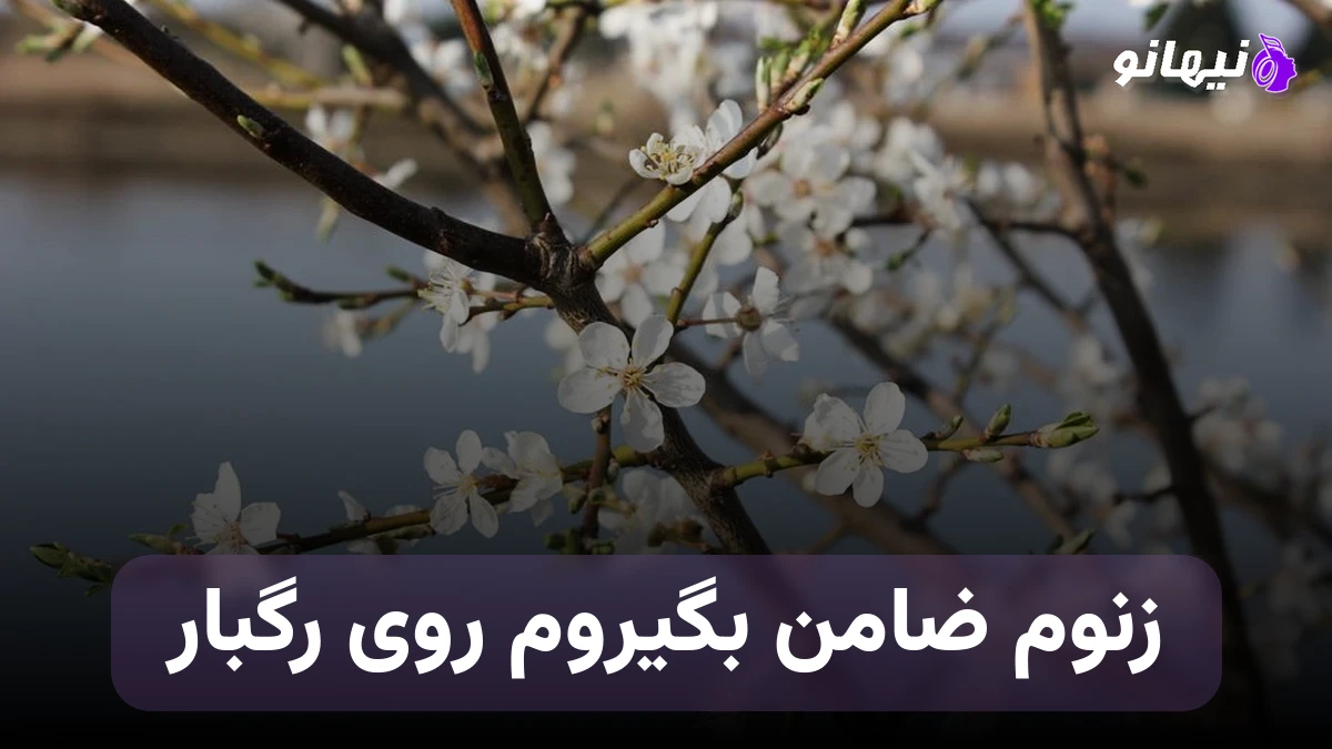 دانلود آهنگ زنوم ضامن بگیروم روی رگبار کشوم ضامن بگیروم روی رگبار  